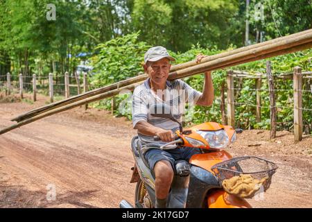 Ein Mann auf einem Motorrad auf einer Landstraße trägt Bambusstangen auf seiner Schulter. Stockfoto