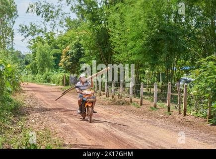 Ein Mann auf einem Motorrad auf einer Landstraße trägt Bambusstangen auf seiner Schulter. Stockfoto