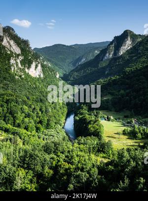 Fluss in den Bergen von Montenegro Stockfoto