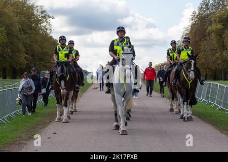 Windsor, Großbritannien. 16.. September 2022. Die Mounted Police von einer Reihe von Einheiten in ganz Großbritannien, einschließlich der Thames Valley Police, war heute auf dem Long Walk in Windsor auf Patrouille. Vor dem Staatsbegräbnis Ihrer Majestät der Königin am Montag ist eine riesige Sicherheitsoperation im Gange. Der Sarg Ihrer Majestät wird am Montag entlang des langen Spaziergangs nach Windsor zurückkehren, wo sie nach einem feierlichen Einlieferungsgottesdienst bei einer privaten Zeremonie, an der die königliche Familie teilnimmt, in der King George VI Memorial Chapel, St. George's Chapel im Schloss Windsor zur Ruhe gebracht wird. Quelle: Maureen McLean/Alamy Live News Stockfoto