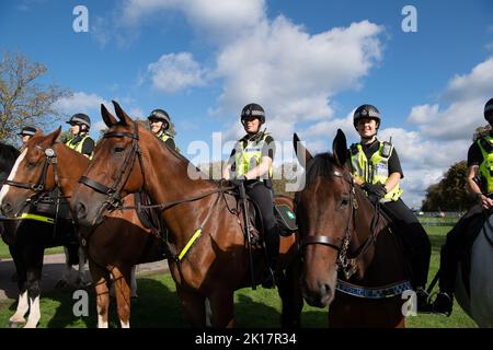 Windsor, Großbritannien. 16.. September 2022. Die Mounted Police von einer Reihe von Einheiten in ganz Großbritannien, einschließlich der Thames Valley Police, war heute auf dem Long Walk in Windsor auf Patrouille. Vor dem Staatsbegräbnis Ihrer Majestät der Königin am Montag ist eine riesige Sicherheitsoperation im Gange. Der Sarg Ihrer Majestät wird am Montag entlang des langen Spaziergangs nach Windsor zurückkehren, wo sie nach einem feierlichen Einlieferungsgottesdienst bei einer privaten Zeremonie, an der die königliche Familie teilnimmt, in der King George VI Memorial Chapel, St. George's Chapel im Schloss Windsor zur Ruhe gebracht wird. Quelle: Maureen McLean/Alamy Live News Stockfoto