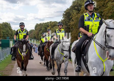 Windsor, Großbritannien. 16.. September 2022. Die Mounted Police von einer Reihe von Einheiten in ganz Großbritannien, einschließlich der Thames Valley Police, war heute auf dem Long Walk in Windsor auf Patrouille. Vor dem Staatsbegräbnis Ihrer Majestät der Königin am Montag ist eine riesige Sicherheitsoperation im Gange. Der Sarg Ihrer Majestät wird am Montag entlang des langen Spaziergangs nach Windsor zurückkehren, wo sie nach einem feierlichen Einlieferungsgottesdienst bei einer privaten Zeremonie, an der die königliche Familie teilnimmt, in der King George VI Memorial Chapel, St. George's Chapel im Schloss Windsor zur Ruhe gebracht wird. Quelle: Maureen McLean/Alamy Live News Stockfoto