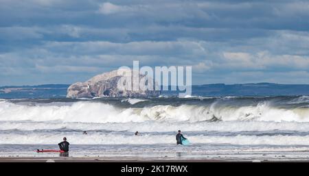 Belhaven Bay, East Lothian, Schottland, Großbritannien, 16.. September 2022. UK Wetter: Große Wellen mit starkem Wind im Firth of Forth heute vor der Bass Rock Insel mit Menschen, die in den großen Wellen surfen Kredit: Sally Anderson/Alamy Live News Stockfoto