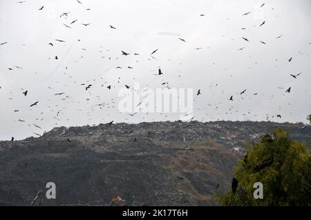 Neu-Delhi, Indien. 16. September 2022. 16. September 2022, Neu-Delhi, Delhi, Indien: Der Berg der Mülldeponie von Ghazipur in Ost-Delhi und die Adler schweben darüber, um zu essen, regnerisches Wetter während der trüben Wolke über Ghazipur in Ost-Delhi am Freitag (Bildquelle: © Ravi Batra/ZUMA Press Wire) Bildquelle: ZUMA Press, Inc./Alamy Live News Stockfoto