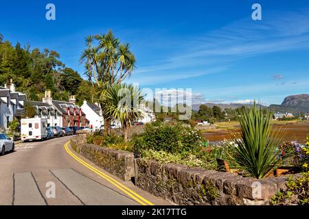 PLOCKTON WESTER ROSS SCOTLAND SPÄTSOMMER HAFENSTRASSE MIT GARTEN UND CORDYLINE PALMEN CORDYLINE AUSTRALIS Stockfoto