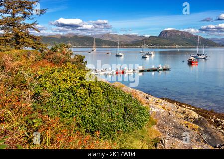 PLOCKTON WESTER ROSS SCHOTTLAND SPÄTSOMMER KÜSTE FELSEN MIT BUNTEN BLUMEN UND BOOTE AUF LOCH CARRON Stockfoto