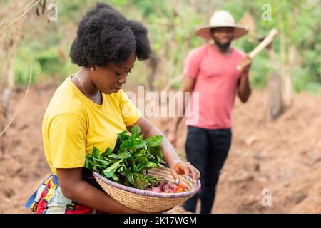 afrikanische Bauern in einem Bauernhof arbeiten Stockfoto