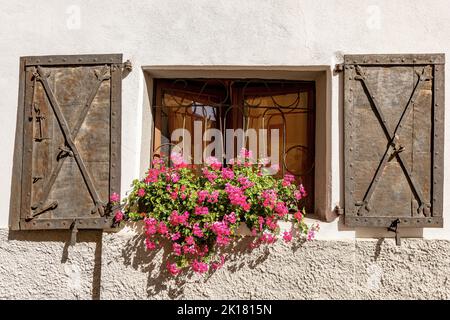 Altes Fenster mit schmiedeeisernen Sicherheitsriegeln, Metallfenstern und roten Geranienblumen. Malborghetto-Valbruna, Udine, Friaul-Julisch Venetien, Italien. Stockfoto