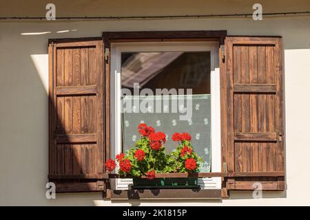 Fenster mit hölzernen Fensterläden und roten Geranienblumen. Kleines Dorf von Malborghetto-Valbruna im Val Canale, Udine, Friaul-Julisch Venetien, Italien. Stockfoto