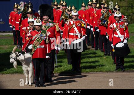 Lance Corporal Shenkin IV., die Regimentsmaskottziege des dritten Bataillons des Royal Welsh Regiments mit Bandsmen, warten auf König Charles III., um Cardiff Castle in Wales zu erreichen. Bilddatum: Freitag, 16. September 2022. Stockfoto