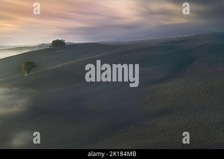 Am frühen Morgen in Val d'Ordia, Siena, Toskana, Italien Stockfoto