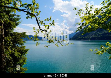 smaragdgrünes Wasser des Walchensee oder des Walchensees, einer der tiefsten und größten Alpenseen Deutschlands (Bayern) Stockfoto