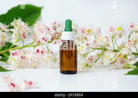 Flasche Rosskastanienextrakt, Essenz von Kastanienblüten. Blühende Zweige und Blätter von Rosskastanie. Herstellung von Medikamenten, Tabletten, Zink Stockfoto