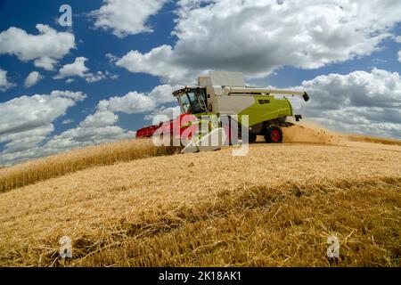 Russland, Kazan - 5. august 2020 : Claas Combine Harvester Ernte eine Ernte von Gerste Stockfoto