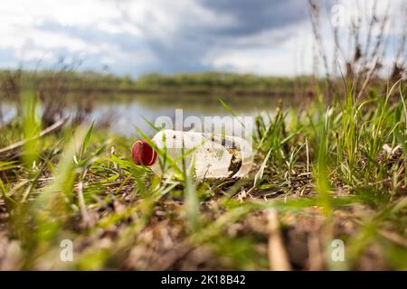 Verlassene Müllabfuhr auf die Natur. Umweltschäden durch die Verschmutzung durch menschlichen Müll. Linke Plastikflasche unter dem Gras am Flussufer Stockfoto