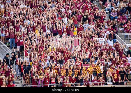 Tallahassee, Florida - 23. November 2013: Fans der Florida State University jubeln bei einem Fußballspiel der FSU Seminole im Doak Campbell Stadium Stockfoto