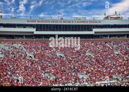 Tallahassee, Florida - 23. November 2013: Fans der Florida State University treffen sich zu einem FSU Seminole Fußballspiel im Doak Campbell Stadium. Stockfoto