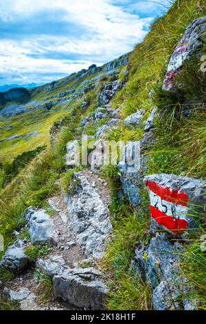 Fantastische Aussicht auf einen mit einer österreichischen Flagge markierten Weg, der zum Gipfel des Loser Berges, Ausseer Land, Salzkammergut, Steiermark, Österreich führt Stockfoto