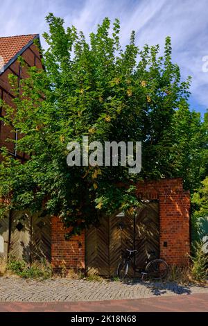 Altes Fahrrad vor einem alten Hoftor eines heruntergekommenen und bewachsenen Grundstücks in der inneren Altstadt der Hansestadt Wismar, Deutschland. Stockfoto