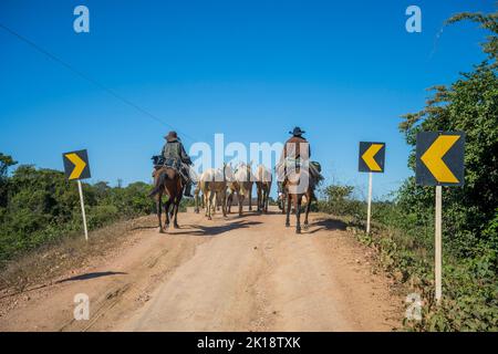 Pantaneiros (brasilianische Cowboys) zu Pferd auf der Transpantaneira Road Crossing auf einer neuen Brücke im nördlichen Pantanal, Bundesstaat Mato Grosso, Braz Stockfoto