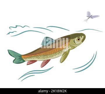 Abbildung des Vektorgrafiks „Fisch gefangen“ Stock Vektor