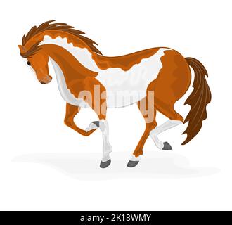 Abbildung des Vektorgrafiks „Weißkopfpferd“ Folge 8 Stock Vektor