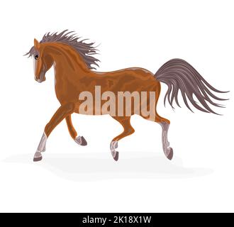 Vektor-Illustration für braunes Pferd Stock Vektor