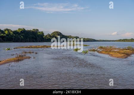 Schwarze Abschäumer (Rynchops niger) im Abendlicht auf einer Sandbank des Flusses Cuiaba in der Nähe von Porto Jofre im nördlichen Pantanal, Provinz Mato Grosso in Stockfoto