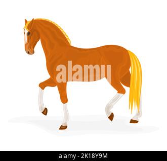 Abbildung des Vektorgrafiks „Sauerampfer“ Folge 8 Stock Vektor