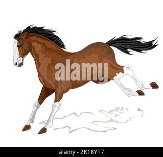 Wild Horse Vektor Illustration eps 8 Stock Vektor