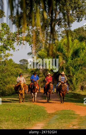 Pantaneiros (lokale Cowboys) zu Pferd in der Nähe der Aguape Lodge im südlichen Pantanal, Mato Grosso do Sul, Brasilien. Stockfoto