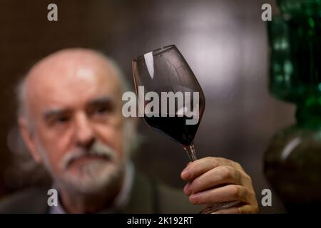 Leitender kaukasischer Mann mit Graubart, ein Weinkenner, der ein Glas hält und den Rotwein durch Anblick, Geruch und Geschmack analysiert Stockfoto