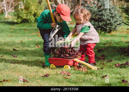 Kinder, die vor dem Winter Herbstblätter in den Schubkarren-Putzgarten rauchen Stockfoto
