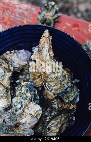 Frisch gepflückte Austern in einer blauen Glasschüssel im Freien Stockfoto