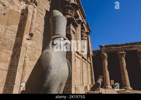 Eine alte ägyptische Gott Horus Statue als die Ansicht des Falken Vogels im Tempel von Edfu, Ägypten Stockfoto