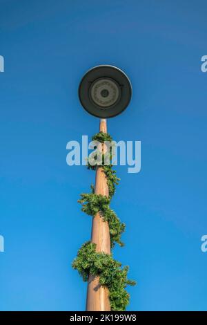 La Jolla, Kalifornien- Flachwinkelansicht eines Laternenpfostens mit kriechenden Reben. Blick auf die Lampe Holzpfosten vor dem klaren blauen Himmel Hintergrund. Stockfoto