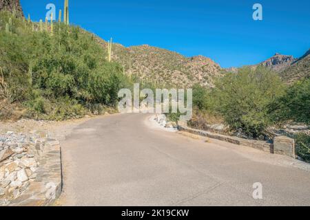 Betonstraße in der Nähe von Wüstenhängen mit saguaro Kaktus im Sabino Canyon State Park - Tucson, Arizona Stockfoto