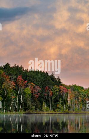 Der Himmel über dem Council Lake im Hiawatha National Forest leuchtet kurz nach Sonnenaufgang, und die Herbstfarbe kommt auf Strong, Alger County, Michigan Stockfoto