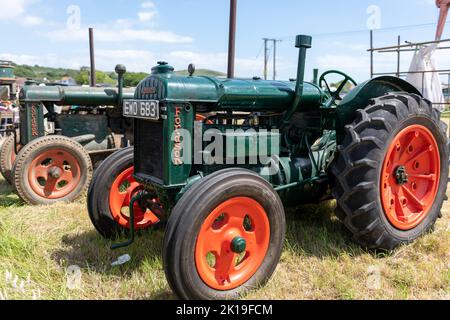 West Bay.Dorset.Vereinigtes Königreich.Juni 12. 2022.Fordson Modell N Standard-Traktoren sind auf der West Bay Vintage Rallye zu sehen Stockfoto