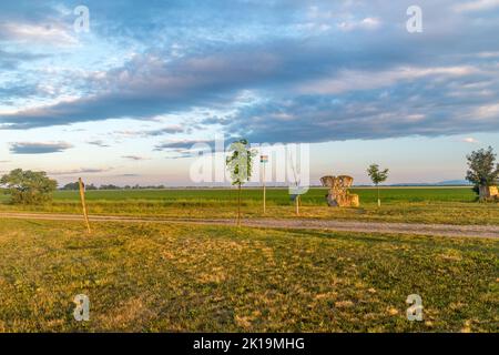 Blick auf die Grenze zwischen Ungarn und der Slowakei in der Nähe von Tripoint von Ungarn, Österreich und der Slowakei. Stockfoto