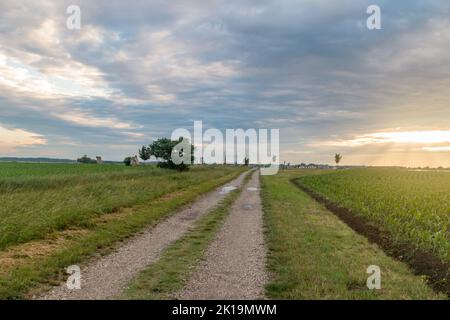 Blick auf den Sonnenuntergang an der Grenze von drei Ländern im Schengen-Raum in Europa. Tripoint von Ungarn, Österreich und Slowakisch. Stockfoto