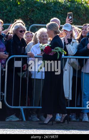 Windsor, Großbritannien. 16.. September 2022. Die Massen waren begeistert, den Earl and Gräfin von Wessex heute zu sehen, als sie zu dem langen Spaziergang vor Windsor Castle kamen, um Trauernde zu treffen und sich die floralen Ehrungen und Botschaften anzusehen, die nach dem traurigen Tod Ihrer Majestät der Königin hinterlassen wurden. Sophie, Gräfin von Wessex, platzierte Blumen, die ihr von den Verehrern mit den vielen anderen Blumen-Tributen geschenkt wurden. Quelle: Maureen McLean/Alamy Live News Stockfoto