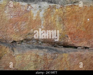 180 Felskunst der Aborigines. Gruppe langhalsiger Schildkröten-Barramundis-Meerbarsche. Ubirr-Kakadu-Australien. Stockfoto