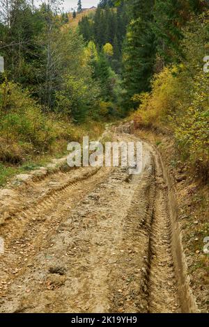 Feldweg durch den Wald mit großen schlammigen Pfützen nach Regen Stockfoto