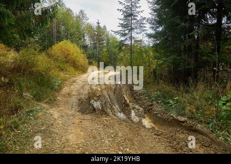 Feldweg durch den Wald mit großen schlammigen Pfützen nach Regen Stockfoto