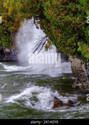 Wellen schlagen sich im Cave Point County Park, Lake Michigan, wo die Zeder direkt aus den Kalksteinfelsen, Door County, Wisconsin, wächst Stockfoto