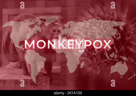 Monkeypox neue Krankheit gefährlich auf der ganzen Welt. Monkeypox-Virus. Roter Hintergrund. Virus, das von Tieren auf den Menschen übertragen wird. Pockenvirus. Pocken. Pandem Stockfoto