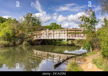 Eling Board Walk Bridge über Bartley Water in Eling, Totton, Southampton, Hampshire, England, VEREINIGTES KÖNIGREICH Stockfoto