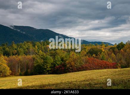 Herbstfarbe in Cades Cove im Great Smoky Mountains National Park, Tennessee Stockfoto