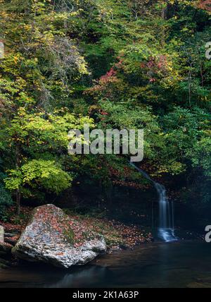 Ein kleiner Wasserfall ohne Namen fließt entlang der Laurel Canyon Road im Great Smoky Mountains National Park, Blount County, Tennessee, in den Little River Stockfoto